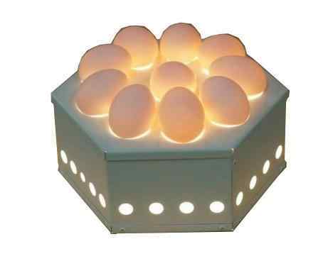 ОВОСКОП ITERMA EGG10